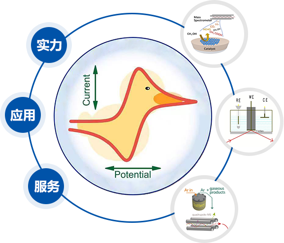 海燕策略社区论坛